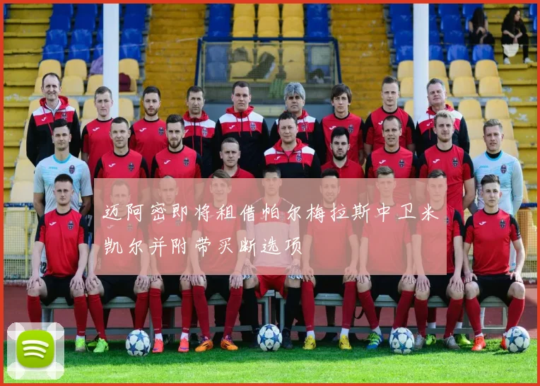 迈阿密即将租借帕尔梅拉斯中卫米凯尔并附带买断选项