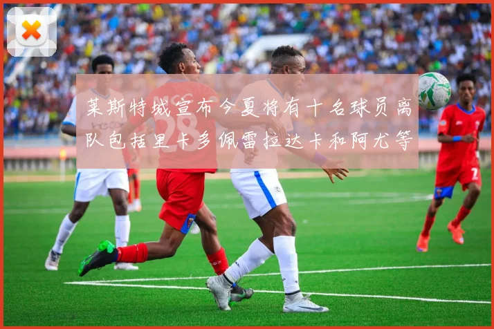 莱斯特城宣布今夏将有十名球员离队包括里卡多佩雷拉达卡和阿尤等人