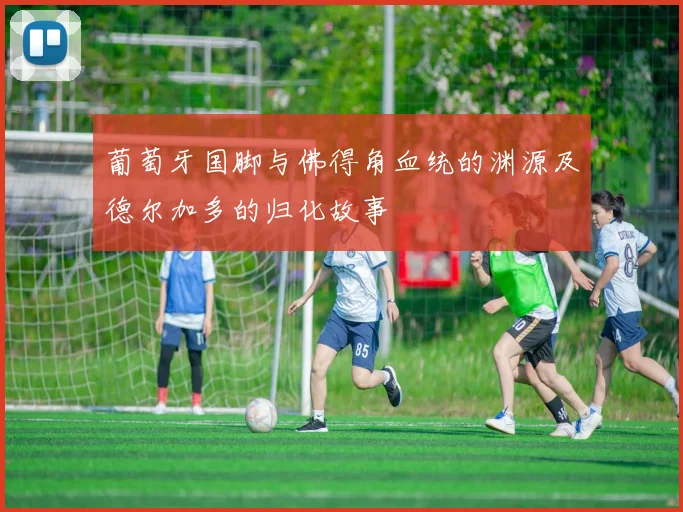 葡萄牙国脚与佛得角血统的渊源及德尔加多的归化故事